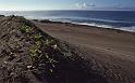WT 0100 006-12 Fiji